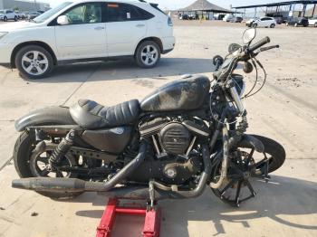  Salvage Harley-Davidson Xl883 N