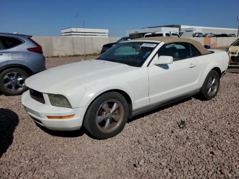  Salvage Ford Mustang