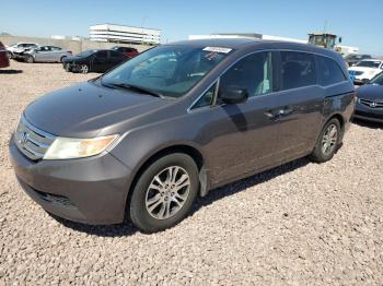  Salvage Honda Odyssey