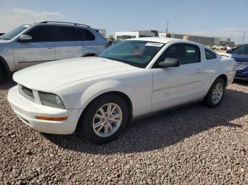  Salvage Ford Mustang