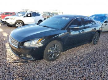  Salvage Nissan Maxima