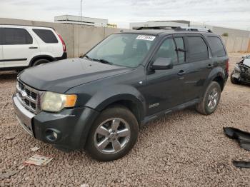  Salvage Ford Escape