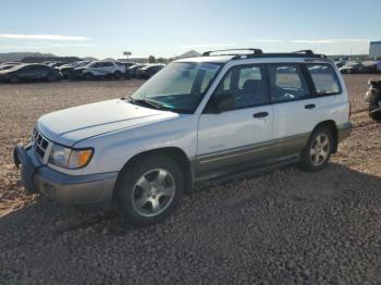  Salvage Subaru Forester