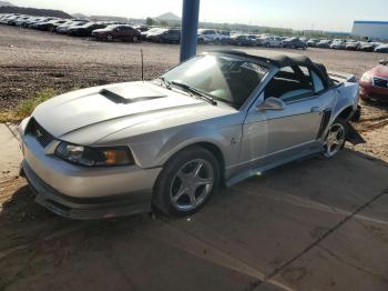  Salvage Ford Mustang