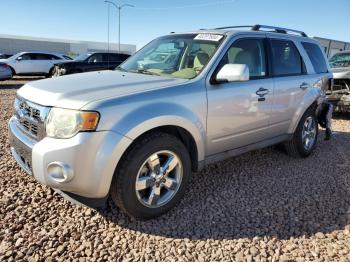  Salvage Ford Escape