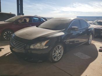  Salvage Nissan Maxima