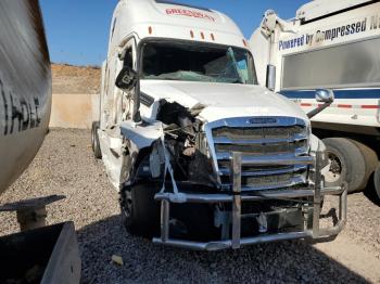  Salvage Freightliner Cascadia 1