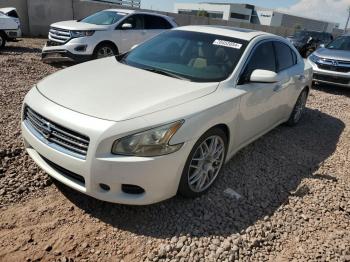  Salvage Nissan Maxima