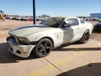  Salvage Ford Mustang