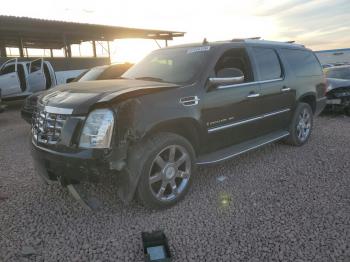  Salvage Cadillac Escalade