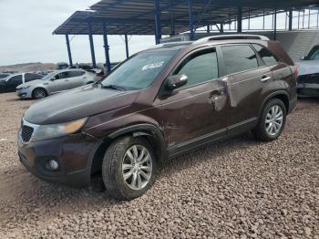  Salvage Kia Sorento