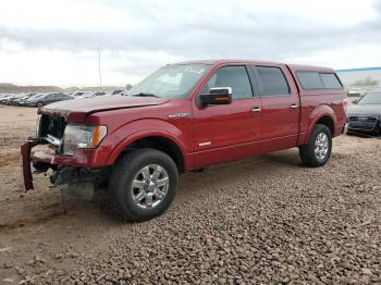  Salvage Ford F-150