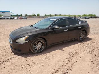  Salvage Nissan Maxima