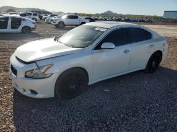  Salvage Nissan Maxima
