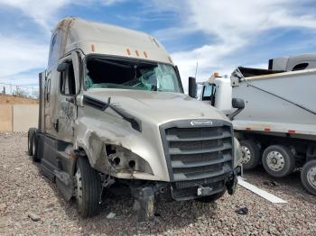  Salvage Freightliner Cascadia 1