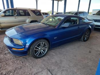  Salvage Ford Mustang