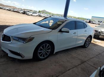  Salvage Acura TLX