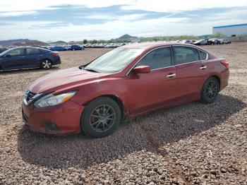  Salvage Nissan Altima