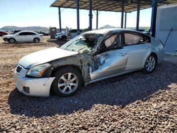  Salvage Nissan Maxima