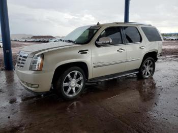  Salvage Cadillac Escalade