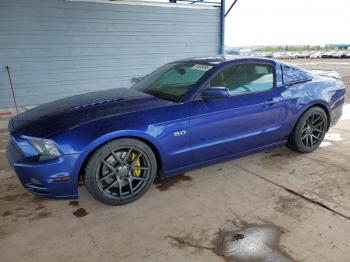 Salvage Ford Mustang