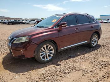  Salvage Lexus RX