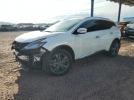 Nissan Murano Platinum Image 1