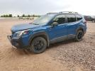 Subaru Forester Wilderness Image 1