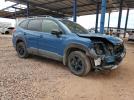 Subaru Forester Wilderness Image 6