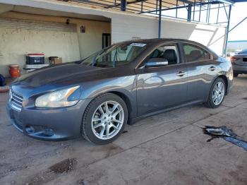  Salvage Nissan Maxima