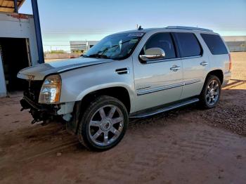  Salvage Cadillac Escalade
