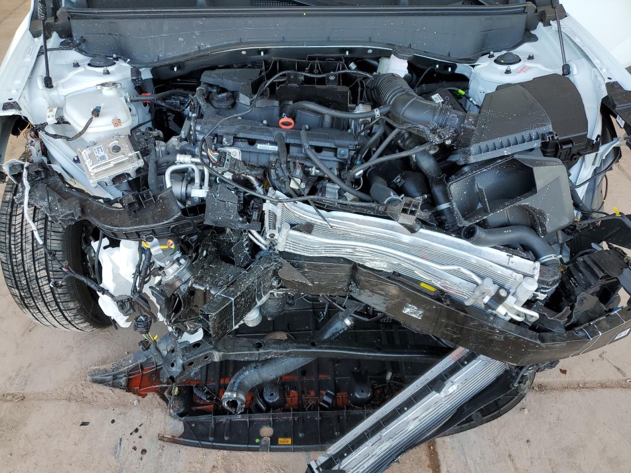 Hyundai KONA Limited Image 6