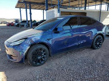  Salvage Tesla Model Y
