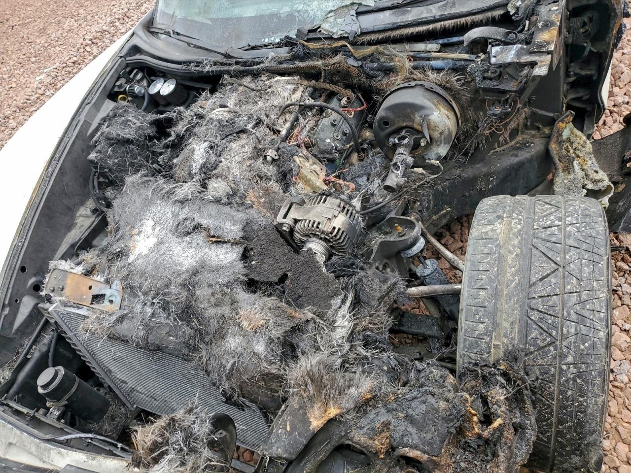 Chevrolet Corvette Z06 Image 5