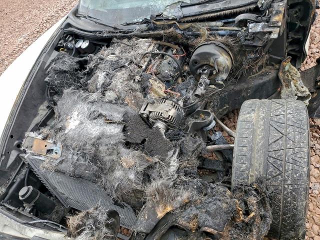 Chevrolet Corvette Z06 Image 5