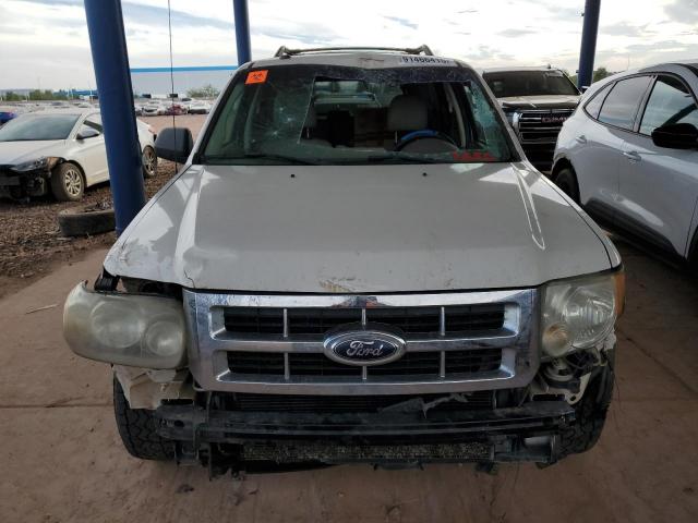 Ford Escape Xlt Image 6