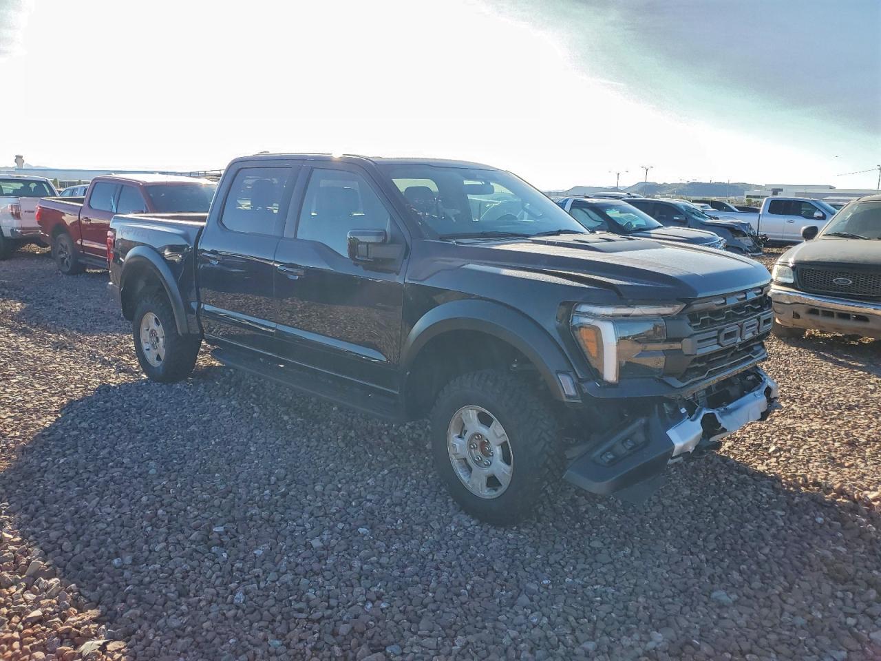 Ford F-150 Raptor Image 2