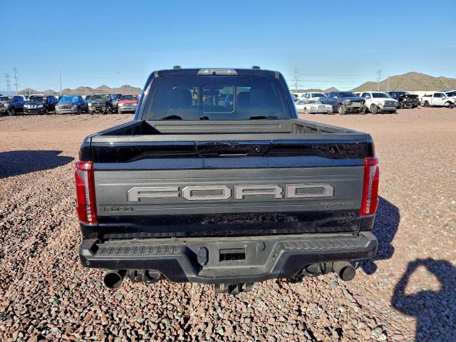 Ford F-150 Raptor Image 9